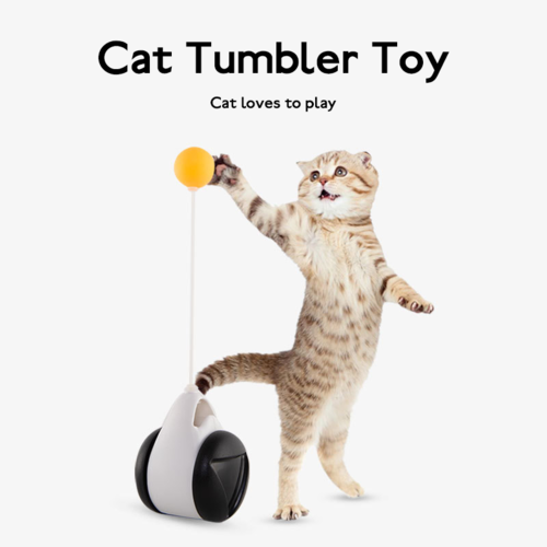 Ball Cat Toy
